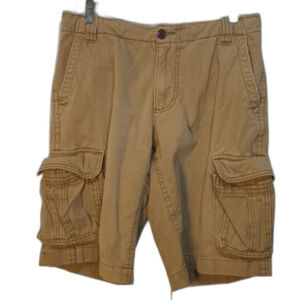 Aeropostal Shorts Size 30 Brown Cargo Shorts Y2K Classic Skater Grunge Casual